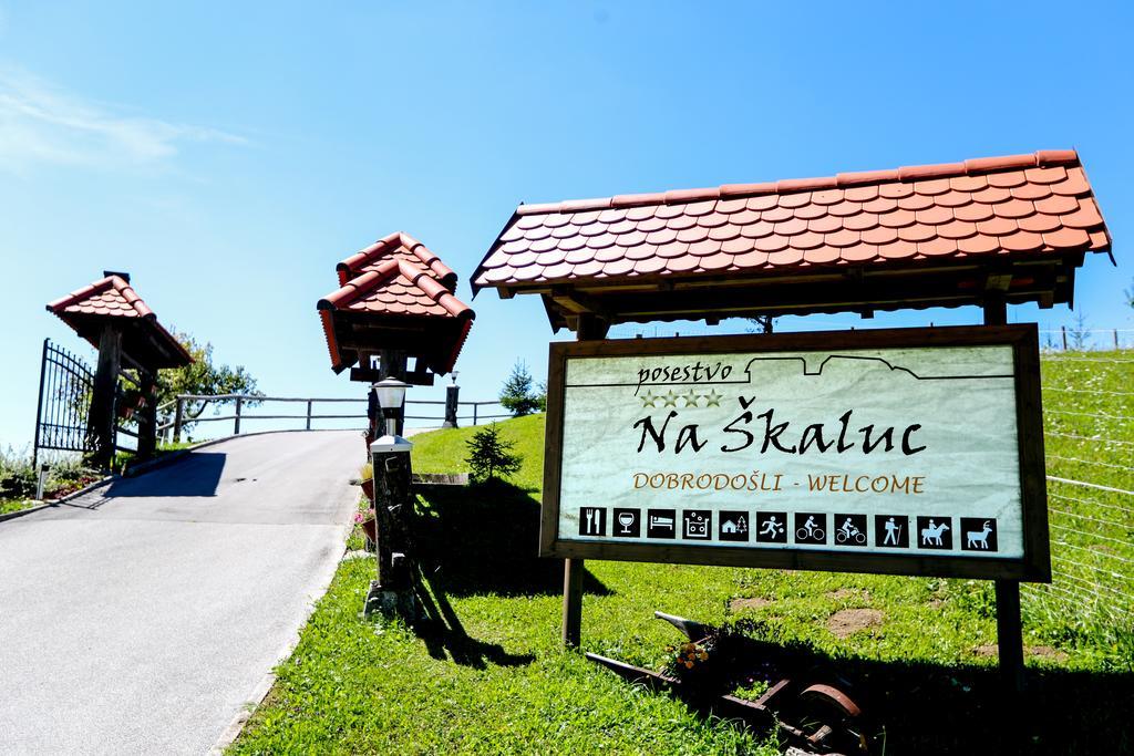 Country House Na Skaluc Guest House Lasko Exterior photo