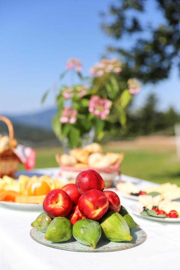 Country House Na Skaluc Guest House Lasko Exterior photo
